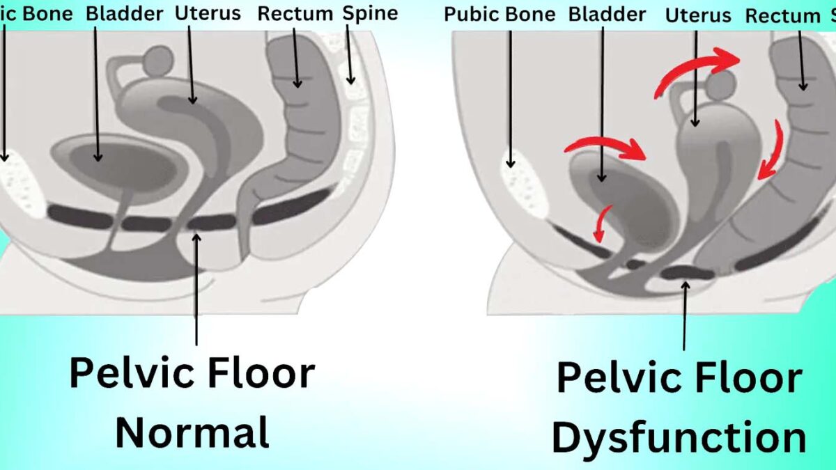 Bikini fotosuratlaridagi katta kokraklar Shaxsiy murabbiy bilan yumshoq jinsiy aloqa