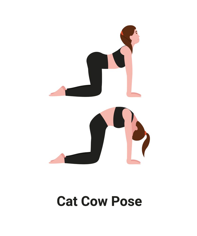 Cat Cow Pose