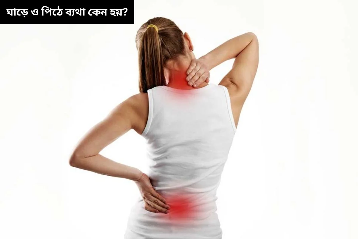 ঘাড় ও পিঠে ব্যথা কেন হয়?
