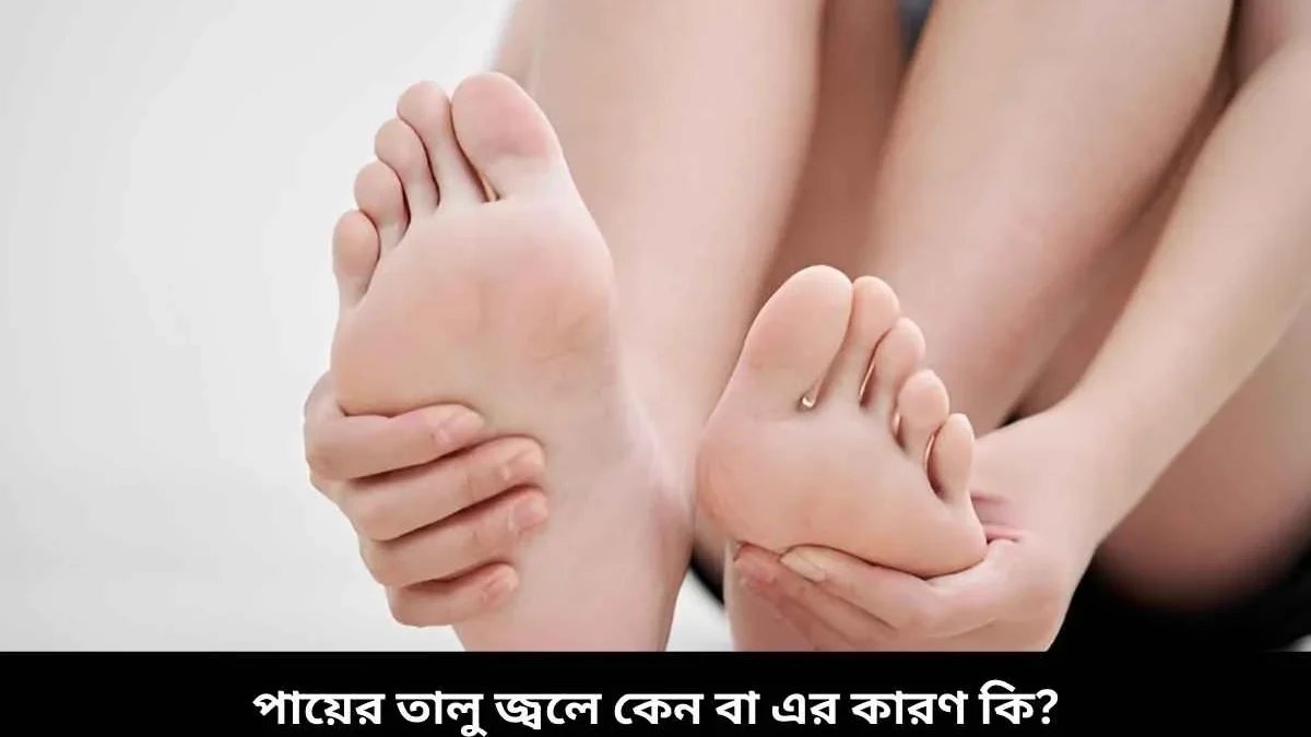 Oshxonada tranny jinsiy aloqa Nopok mushuk fotosurati