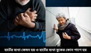 হার্টের ব্যথা কেমন হয় ও হার্টের ব্যথা বুকের কোন পাশে হয়