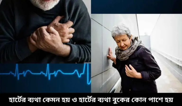 হার্টের ব্যথা কেমন হয় ও হার্টের ব্যথা বুকের কোন পাশে হয়