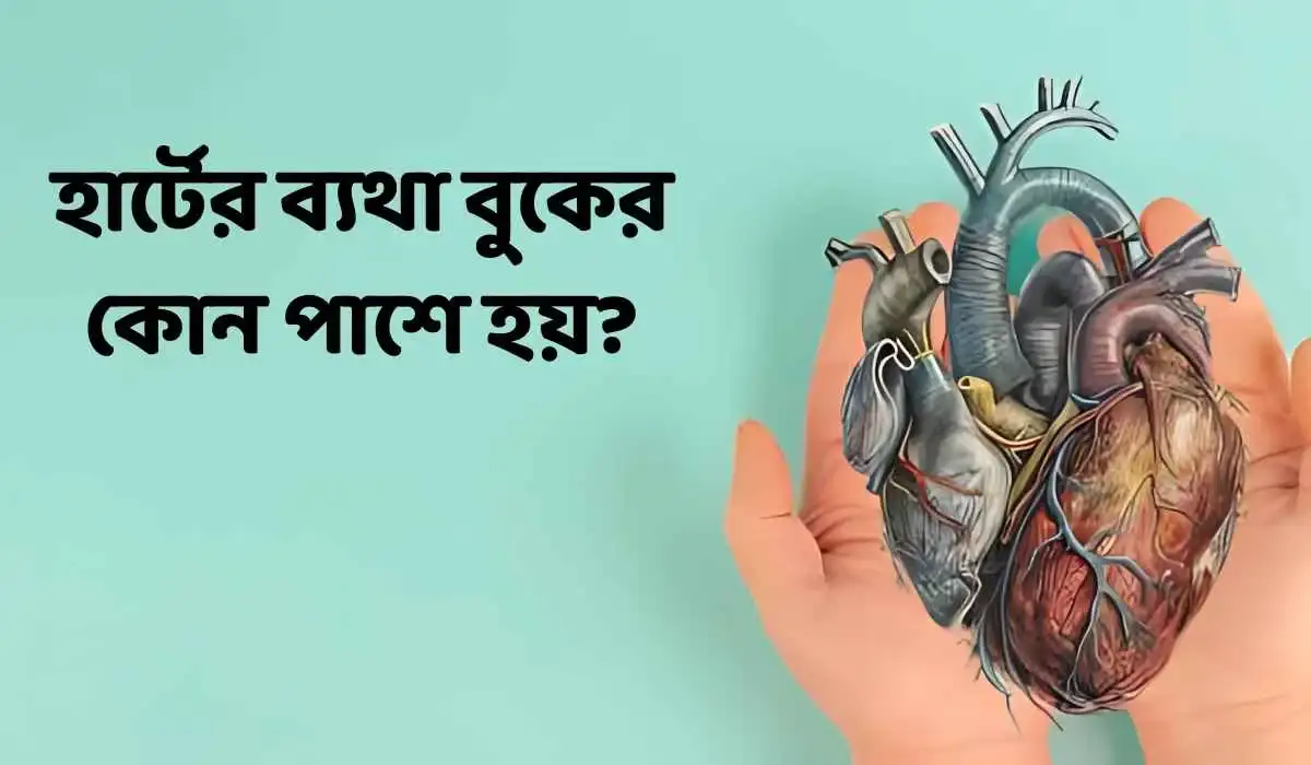 হার্টের ব্যথা বুকের কোন পাশে হয়