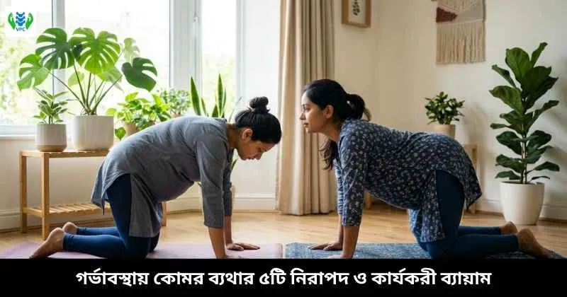 গর্ভাবস্থায় কোমর ব্যথার ৫টি নিরাপদ ও কার্যকরী ব্যায়াম