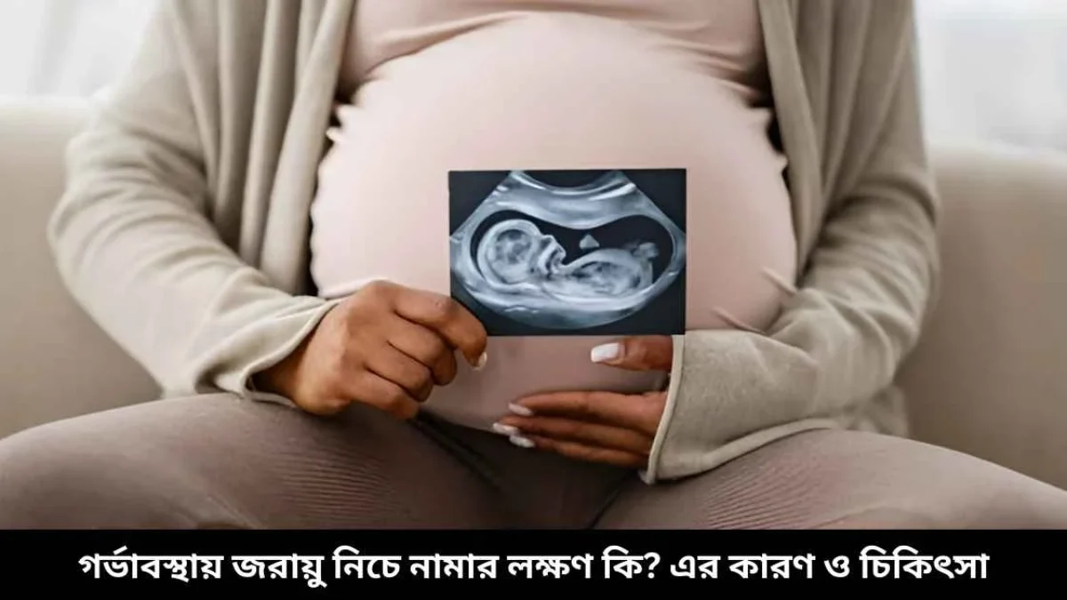 Dik va mushukning fotosuratlari bor.