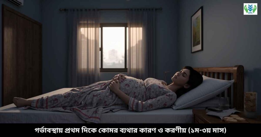 গর্ভাবস্থায় প্রথম দিকে কোমর ব্যথার কারণ ও করণীয় (১ম-৩য় মাস)