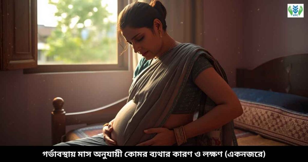 গর্ভাবস্থায় মাস অনুযায়ী কোমর ব্যথার কারণ ও লক্ষণ (একনজরে)