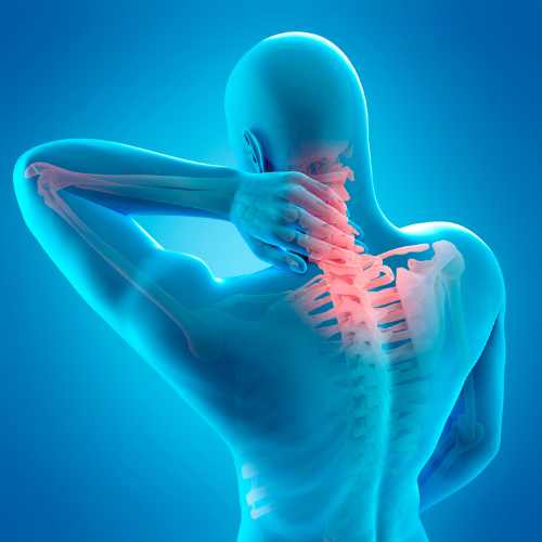Neck Muscle Pain