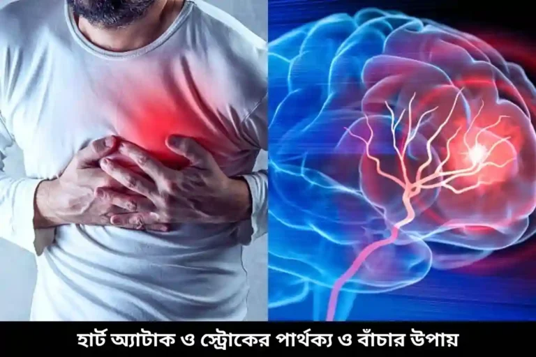 হার্ট অ্যাটাক ও স্ট্রোকের পার্থক্য ও বাঁচার উপায়