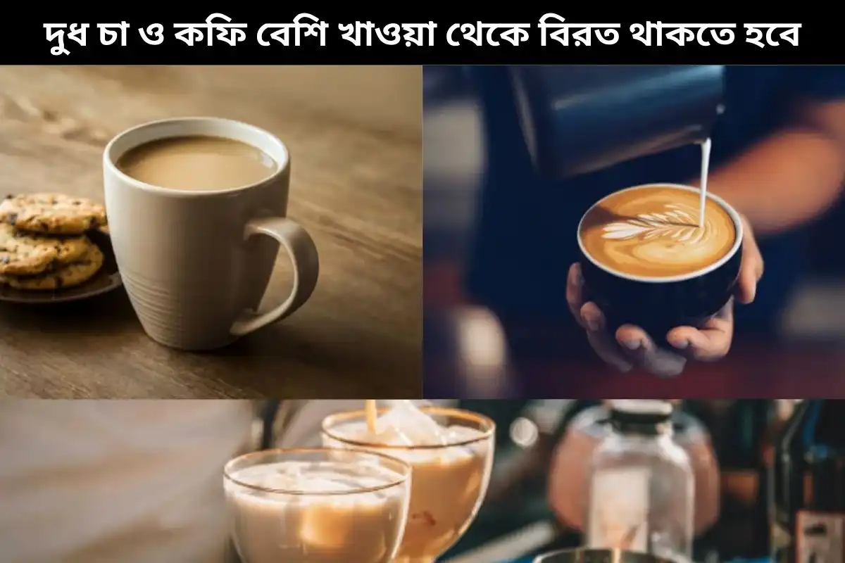 দুধ চা ও কফি বেশি খাওয়া থেকে বিরত থাকতে হবে