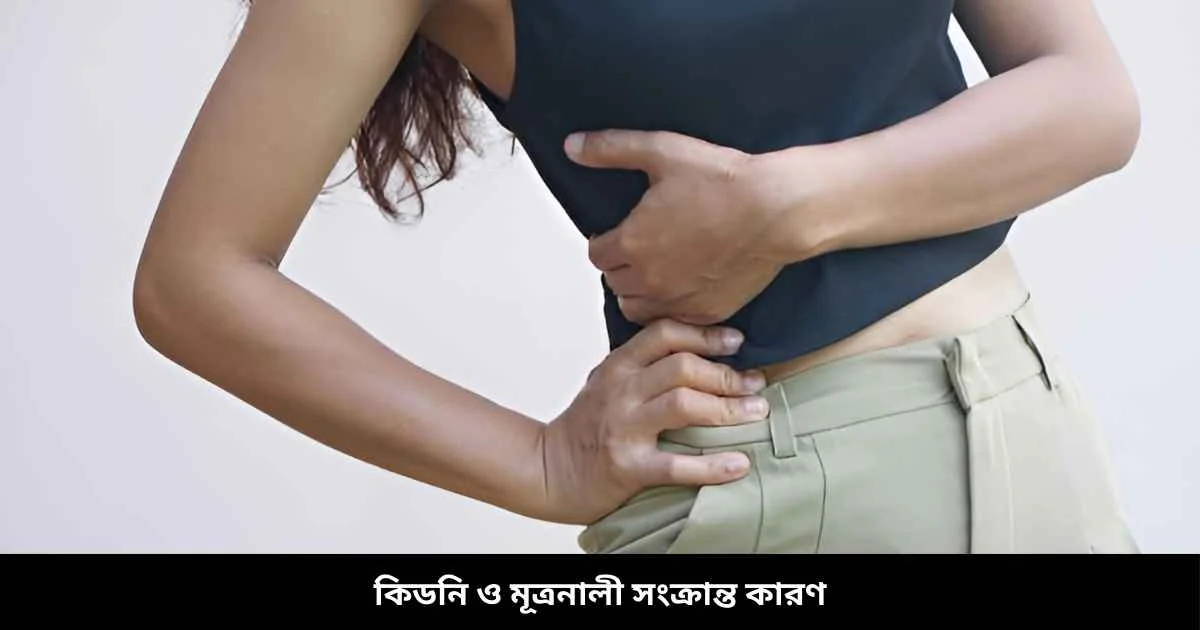 কিডনি ও মূত্রনালী সংক্রান্ত কারণ