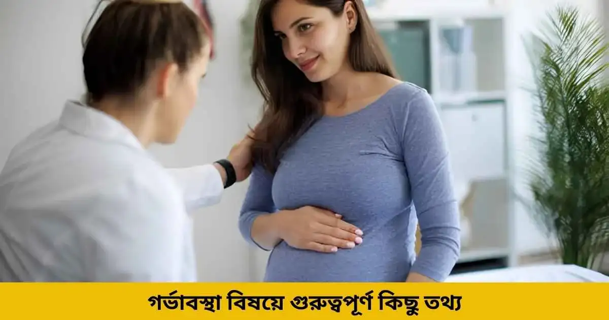 গর্ভাবস্থা বিষয়ে গুরুত্বপূর্ণ কিছু তথ্য