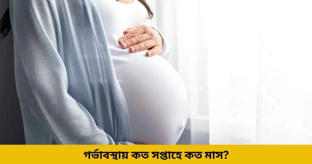 গর্ভাবস্থায় কত সপ্তাহে কত মাস