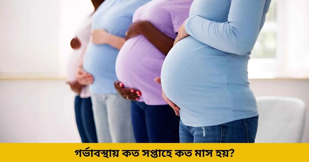 গর্ভাবস্থায় কত সপ্তাহে কত মাস হয়