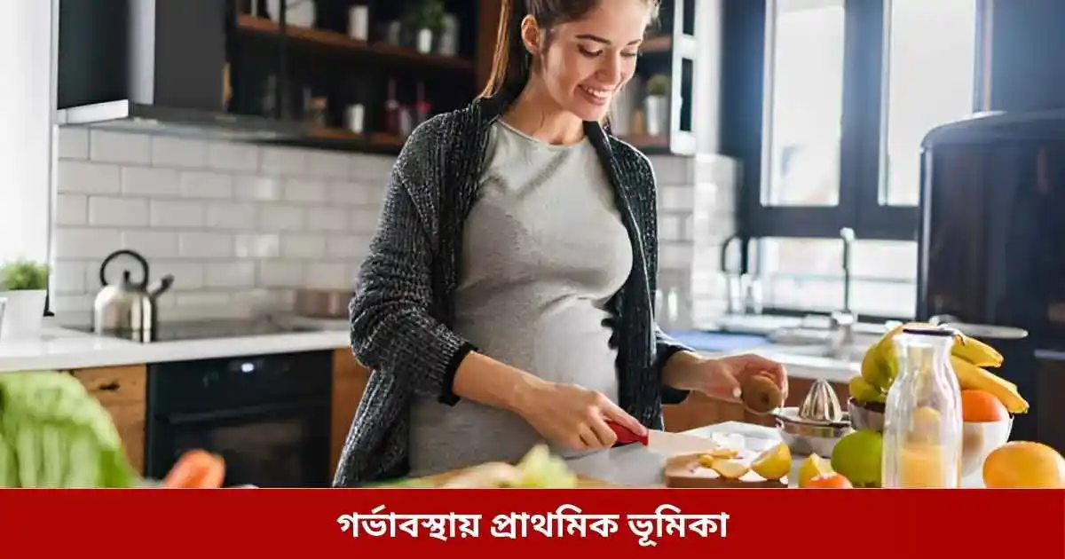 গর্ভাবস্থায় প্রাথমিক ভূমিকা