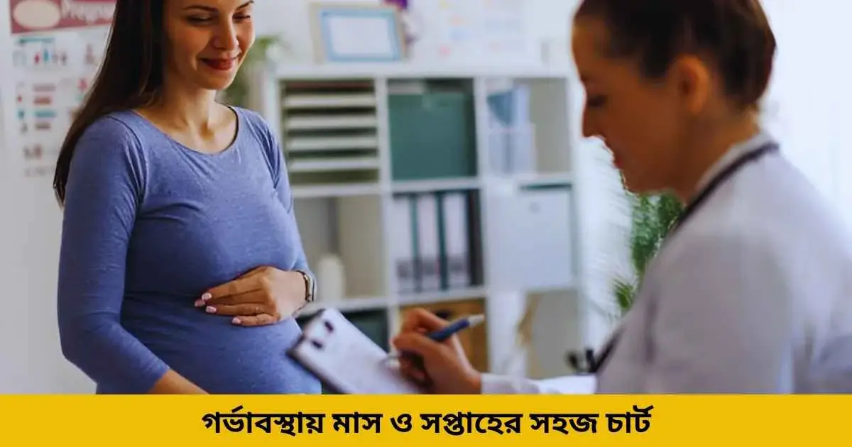গর্ভাবস্থায় মাস ও সপ্তাহের সহজ চার্ট